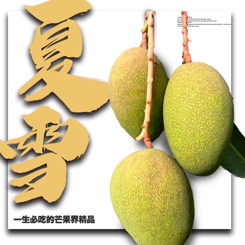 【全台免運】收集芒果的優點於一身夏雪芒果