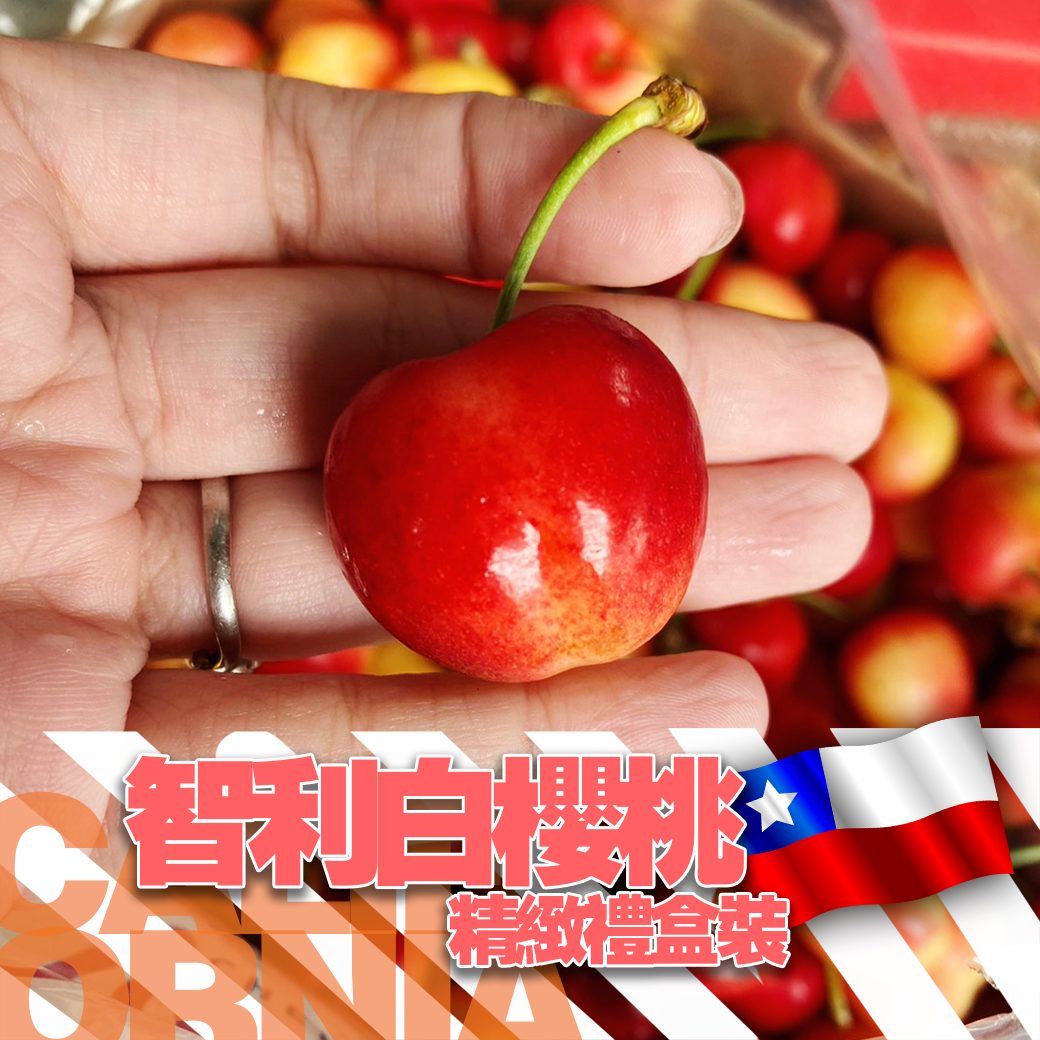 【全台免運】 櫻桃界裡的夢幻商品智利3J白櫻桃