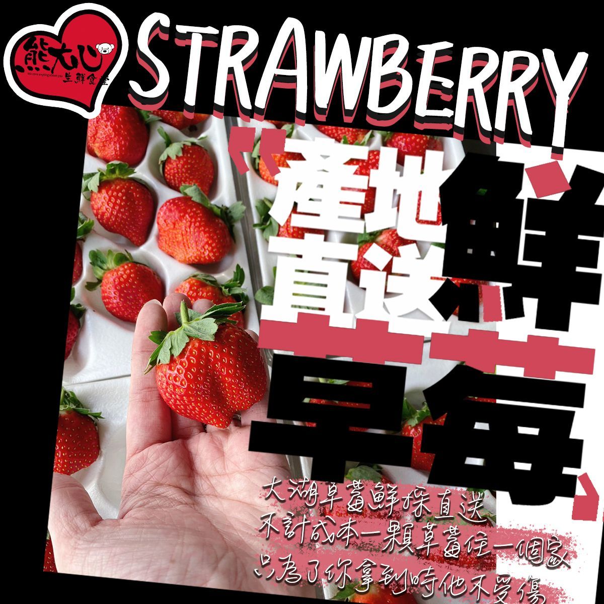【全台免運】苗栗大湖高山隱藏版特號大草莓