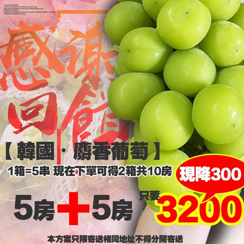 【全台免運】韓國・麝香葡萄回饋下殺