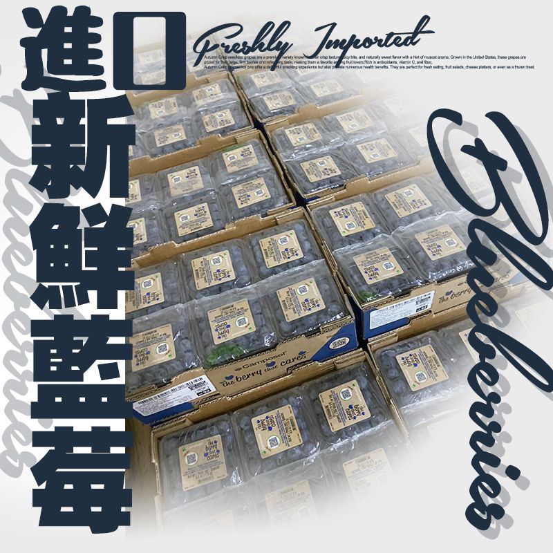【全台免運】進口祕魯藍莓
