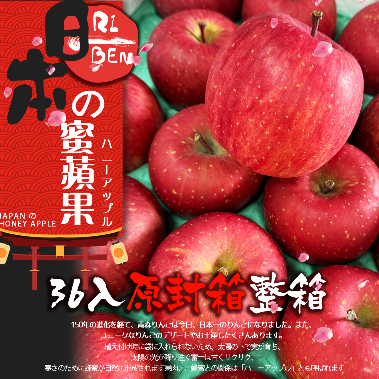 【全台免運】日本青森蜜蘋36顆原封箱整箱優惠