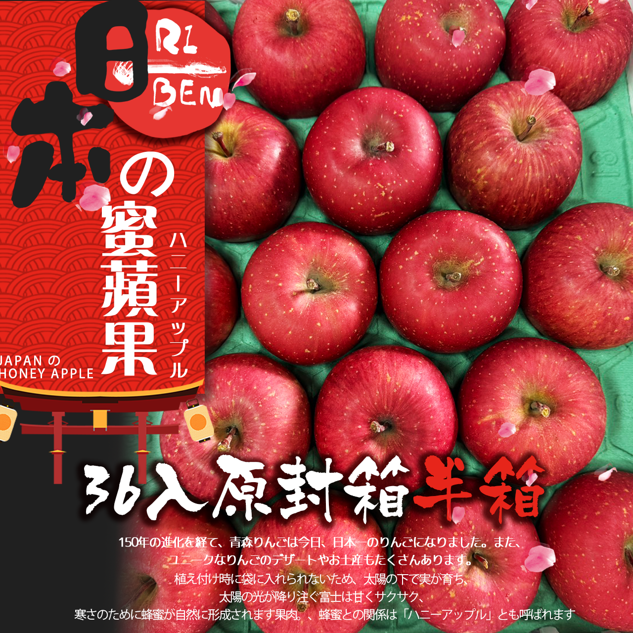 【全台免運】日本青森蜜蘋36顆原封箱半箱18入優惠