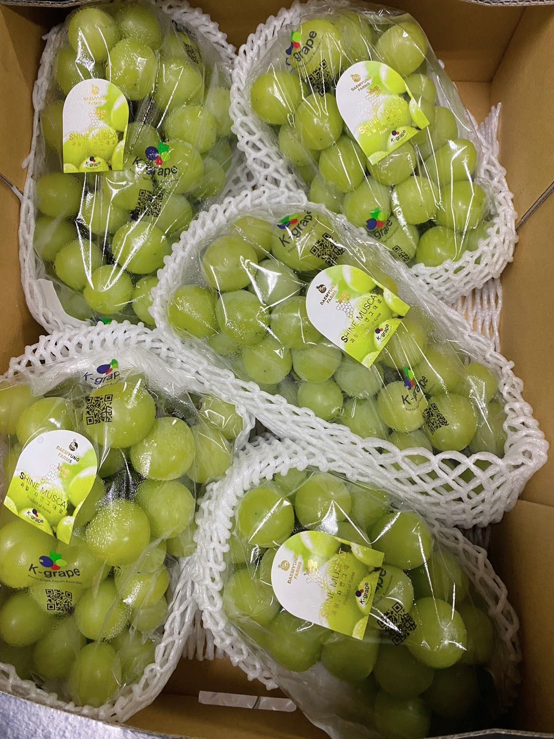 【全台免運】韓國・麝香葡萄