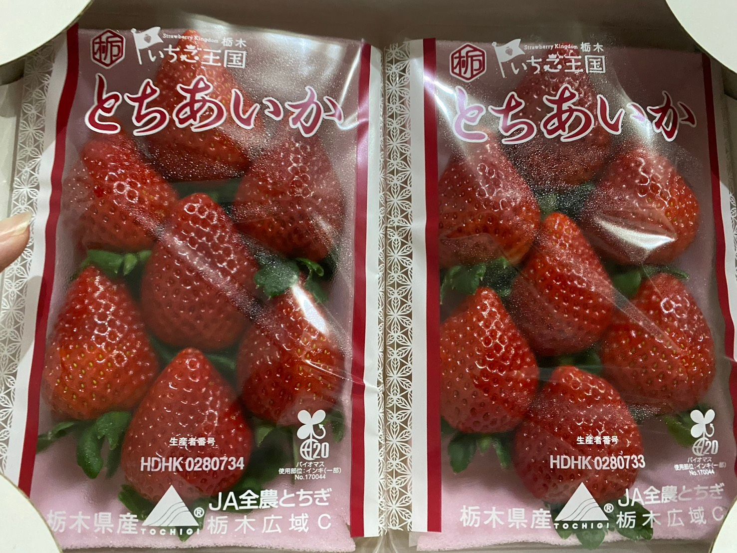【全台免運】冬季限定日本櫪木縣空運草莓