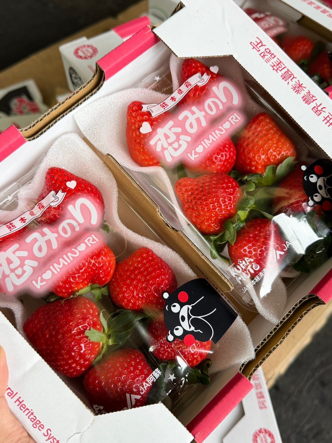 【全台免運】冬季限定日本熊本縣空運草莓