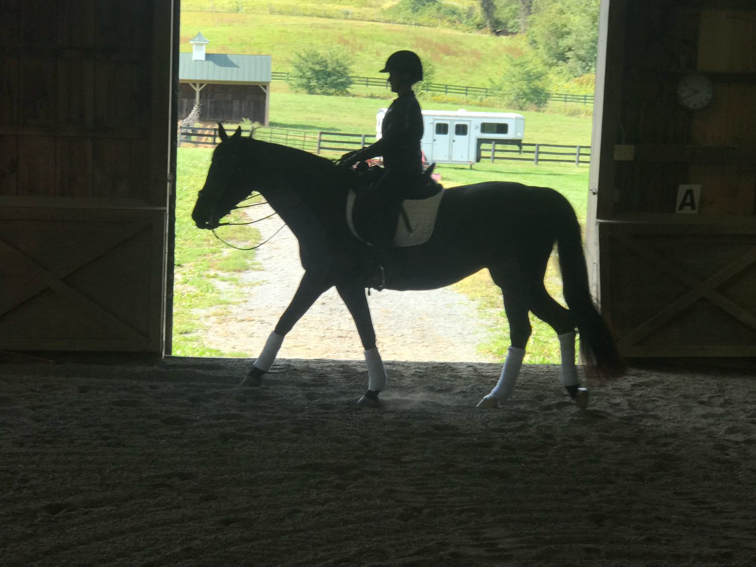 RHF in the barn-11.