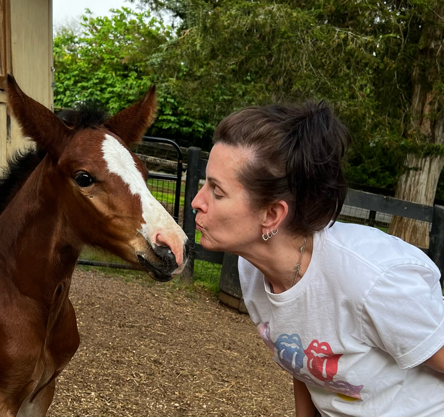 woman kissing horse
