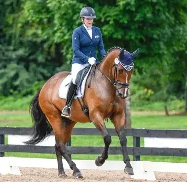 dressage-1.