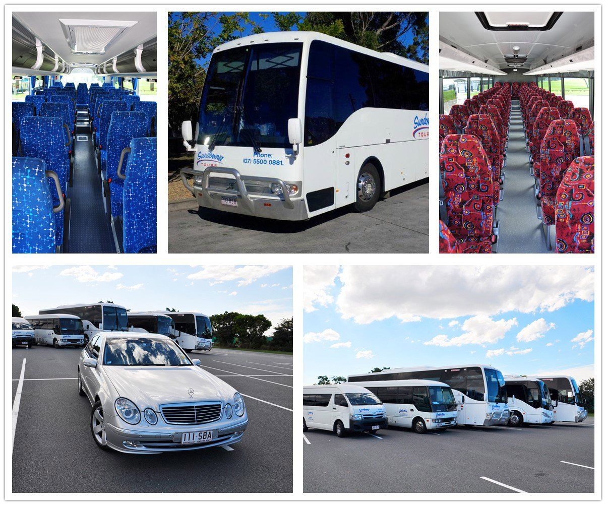 Busses and Cars