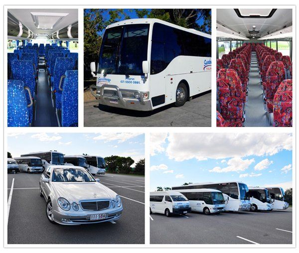 bus charters in gold coast and brisbane