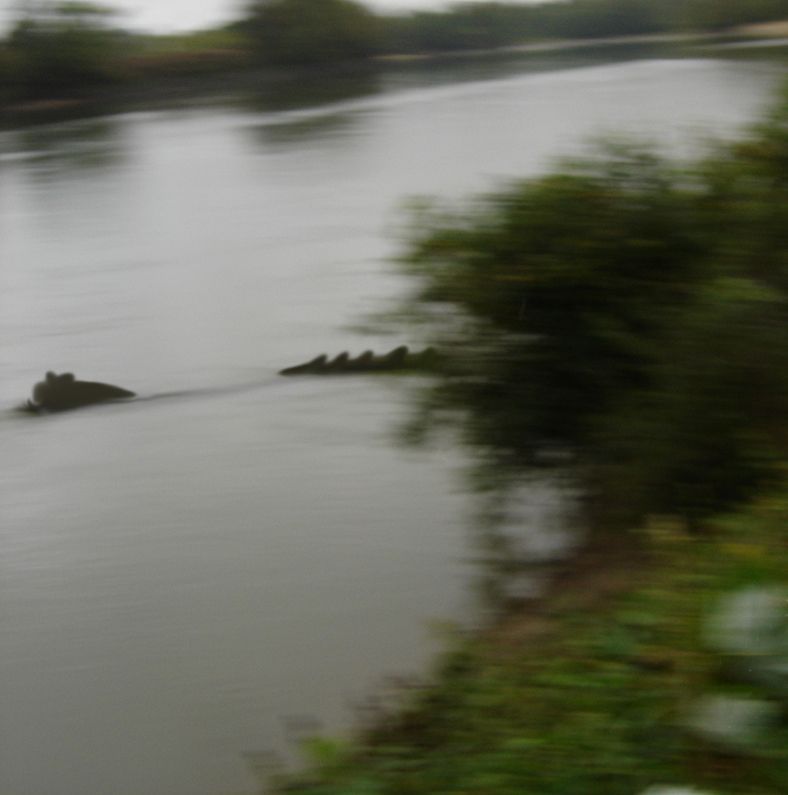 ECONOMIC DEVELOPMENT Newport, Arkansas