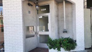 A white brick building with a glass door and a plant in front of it.