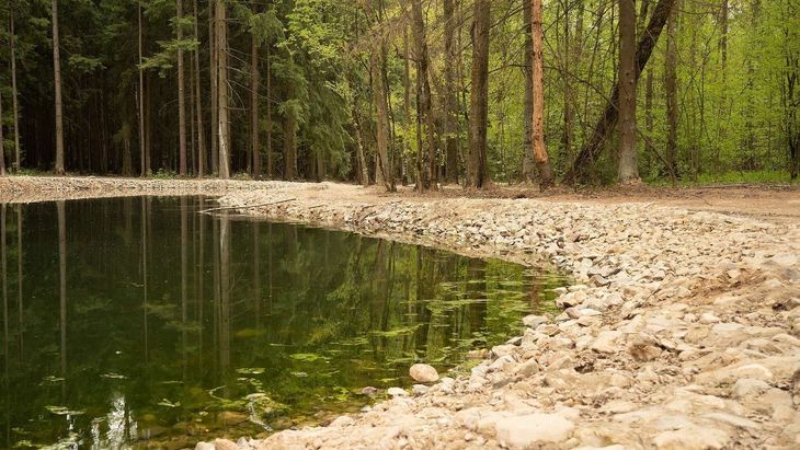 A lake in the middle of a forest with trees reflected in the water.