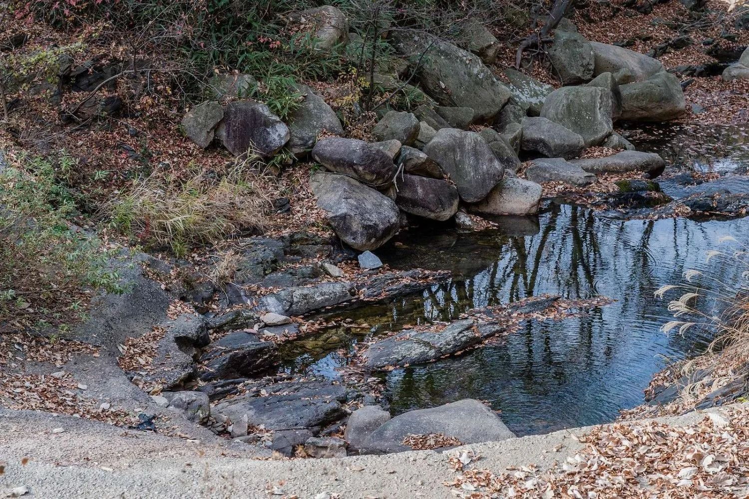 A small stream surrounded by rocks and leaves in the woods.