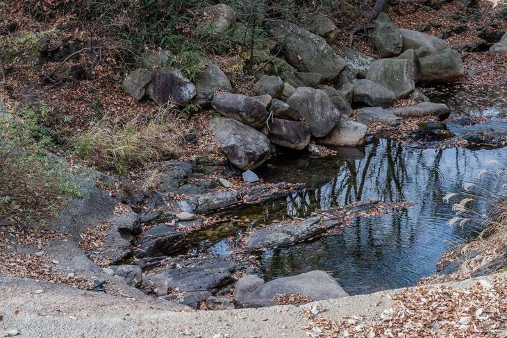 A small stream surrounded by rocks and leaves in the woods.