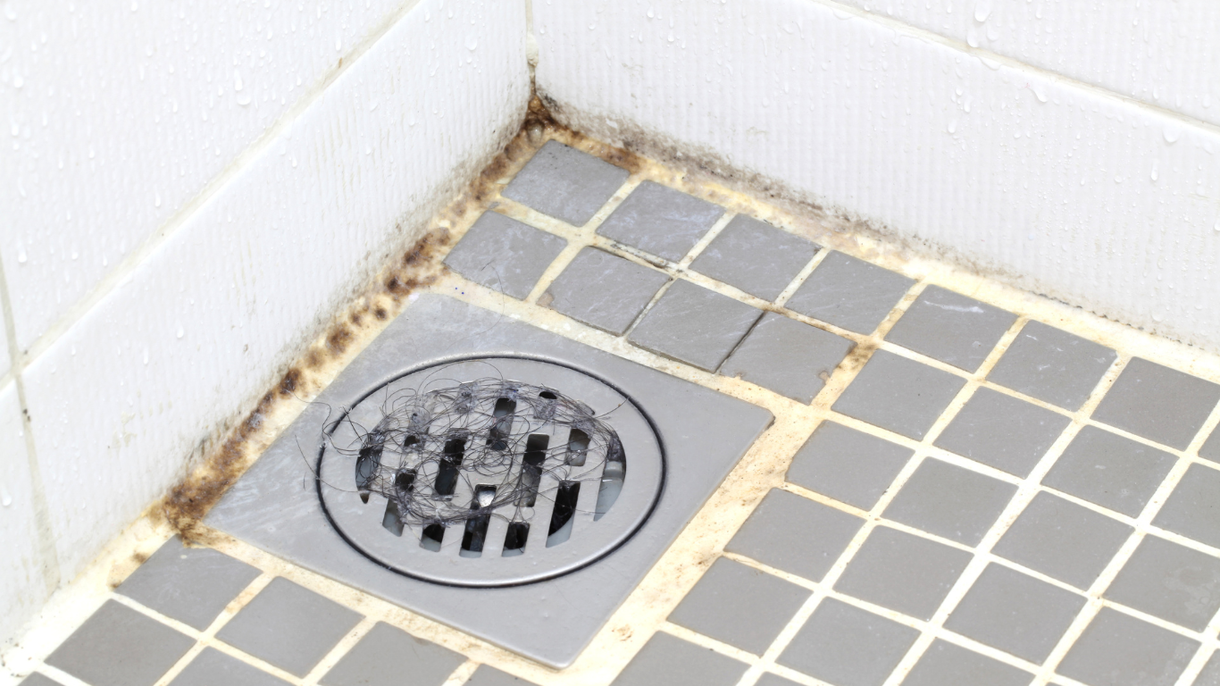 A close up of a drain on a tiled floor in a bathroom. - black mold in shower