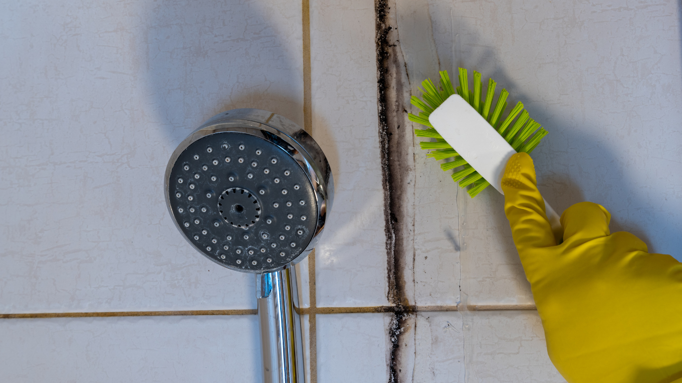 black mold in shower