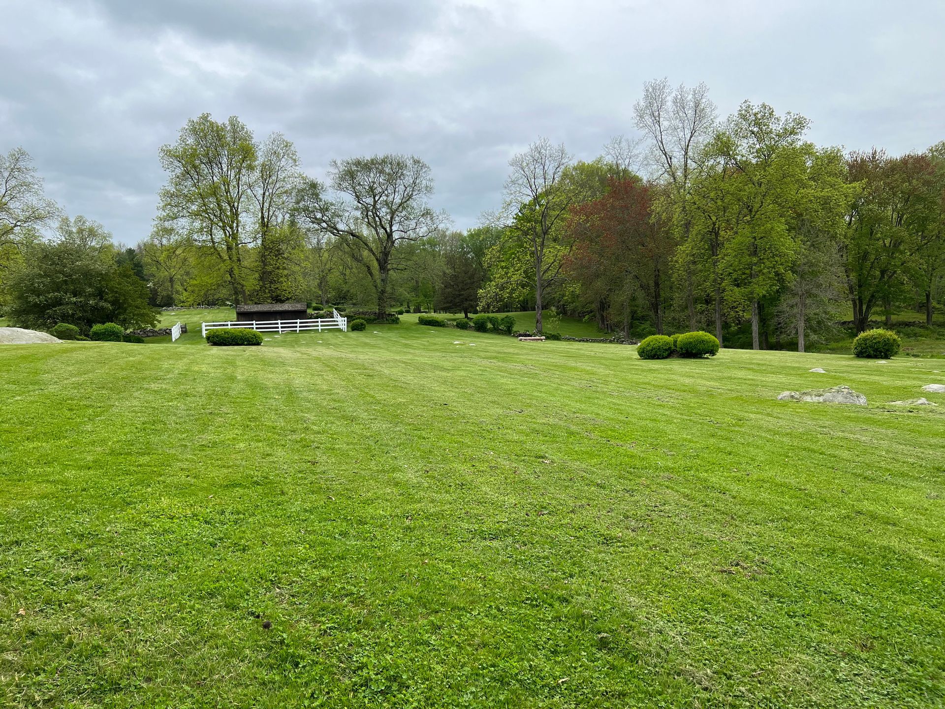 A large lush green field with trees in the background on a cloudy day.