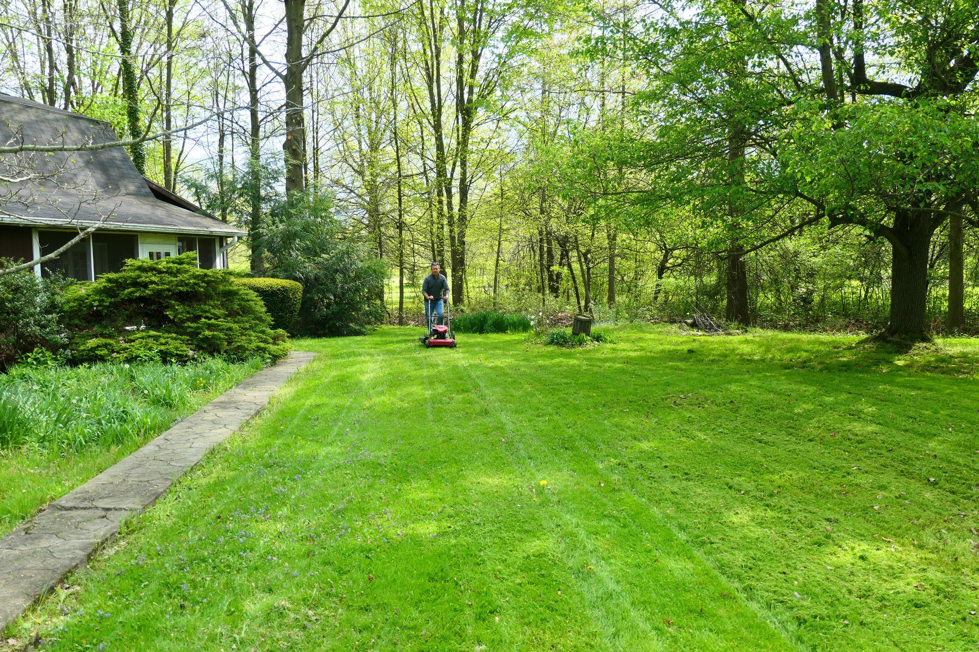 A man is mowing a lush green lawn in front of a house.