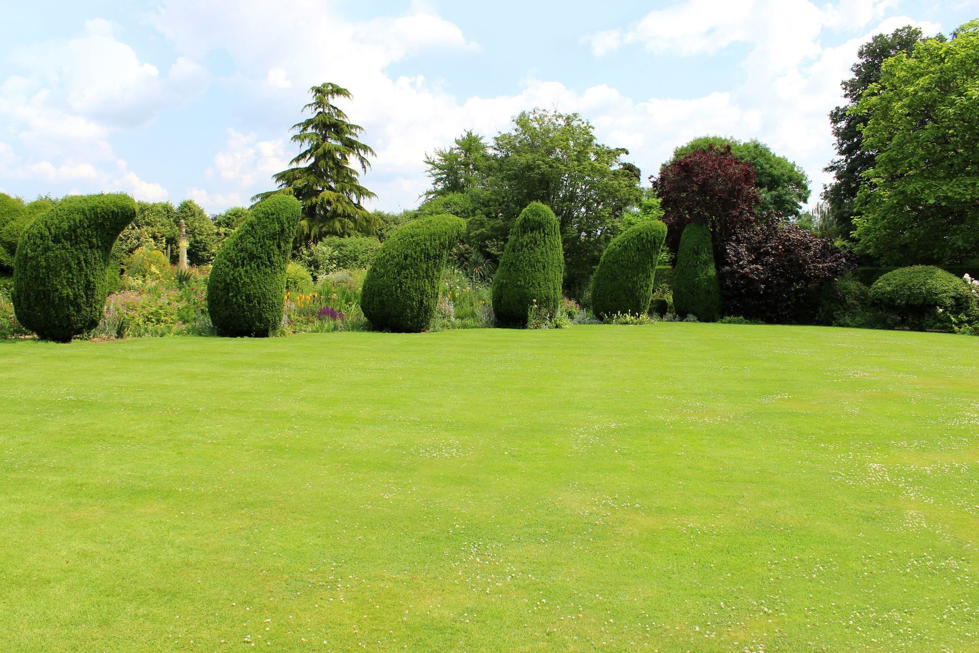 A lush green field with trees in the background