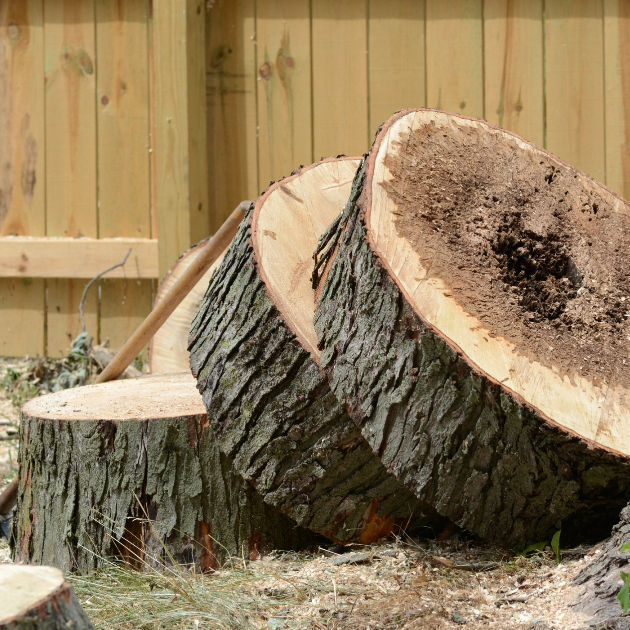 Wood Slabs — Nottingham, PA — Ochoa Tree Service