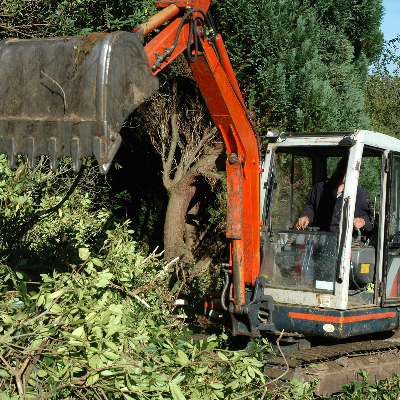 Landscape Clearing — Nottingham, PA — Ochoa Tree Service