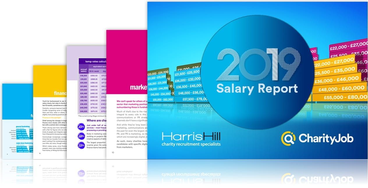 2019 Salary Report cover. Blue sphere with white text, stacked pages with colorful text and graphics.