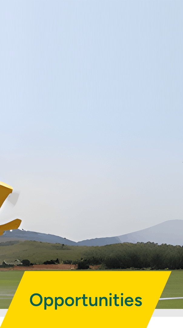 Red rectangle with the text 