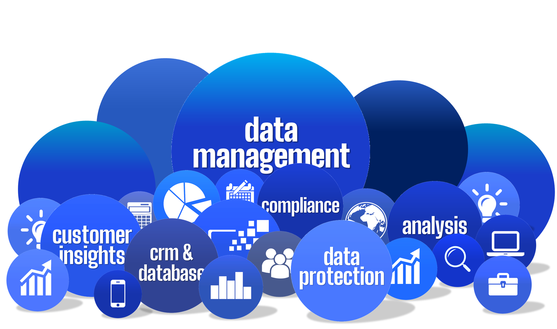 Blue spheres with data management, customer insights, analysis, and data protection icons.