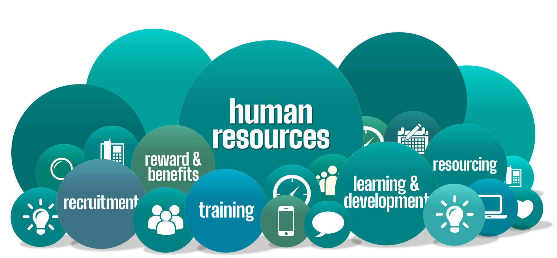 Human resources concept with overlapping teal circles, labeled with HR functions.