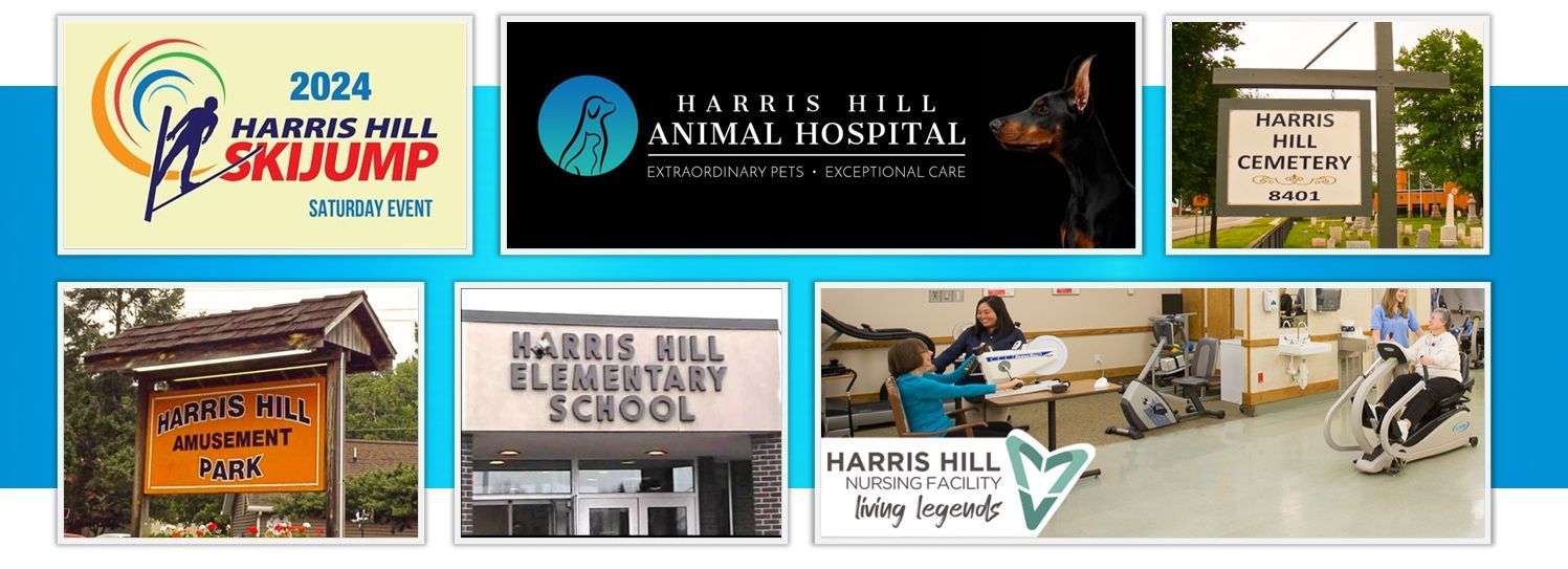Collage featuring Harris Hill Ski Jump, Animal Hospital, Elementary School, and more.
