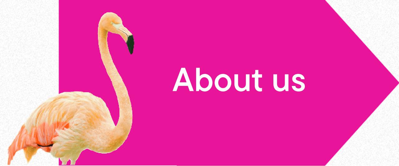 Pink flamingo next to a pink banner with the words 