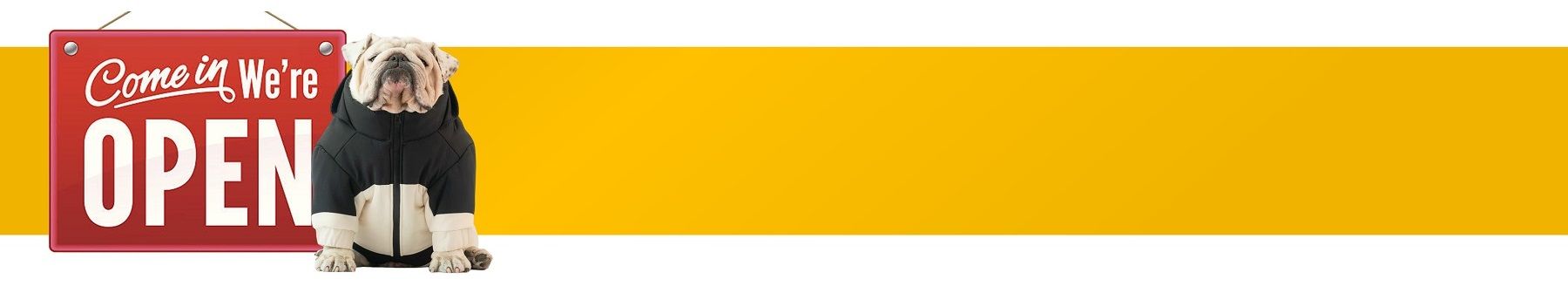 Dog wearing a jacket, beside an 