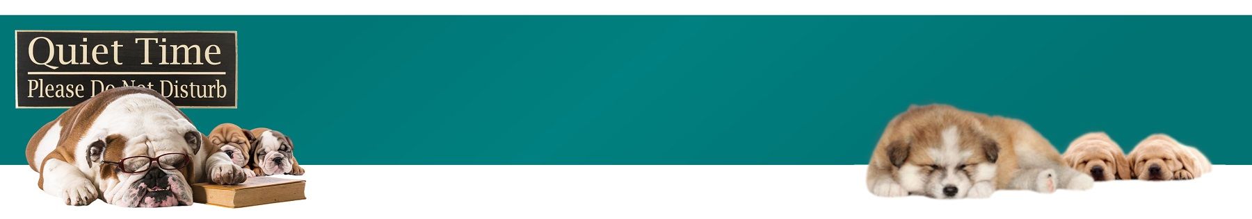 Two sleeping dogs with a teal background that says Quiet Time.