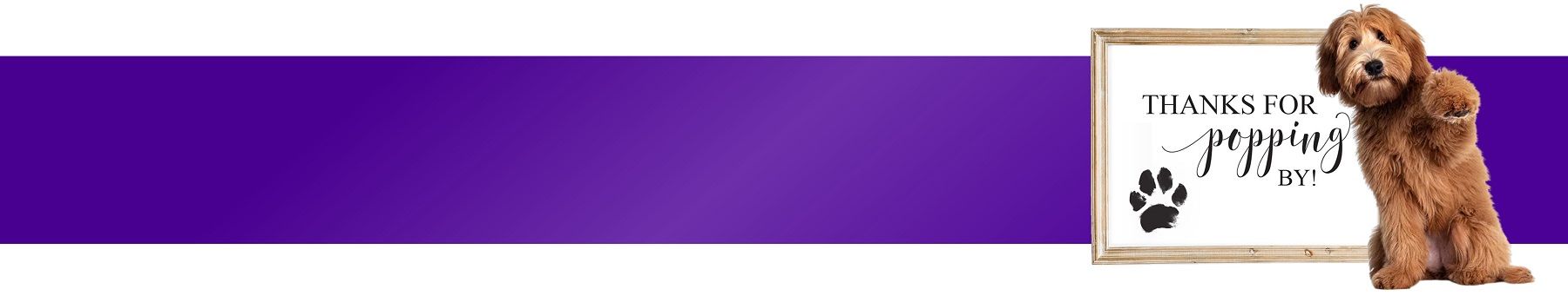 Purple banner with a dog and paw print. A sign reads, 