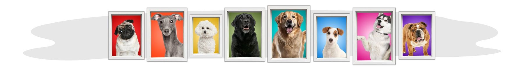 Collection of dog portraits in various colors.