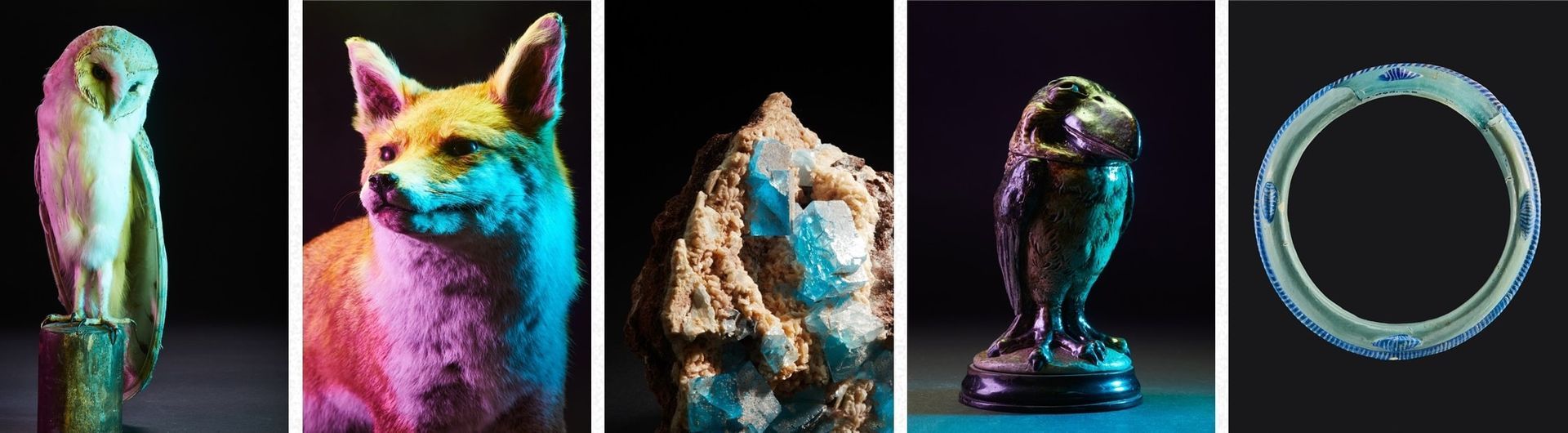 Five sculptures of animals and objects illuminated by colored lights.