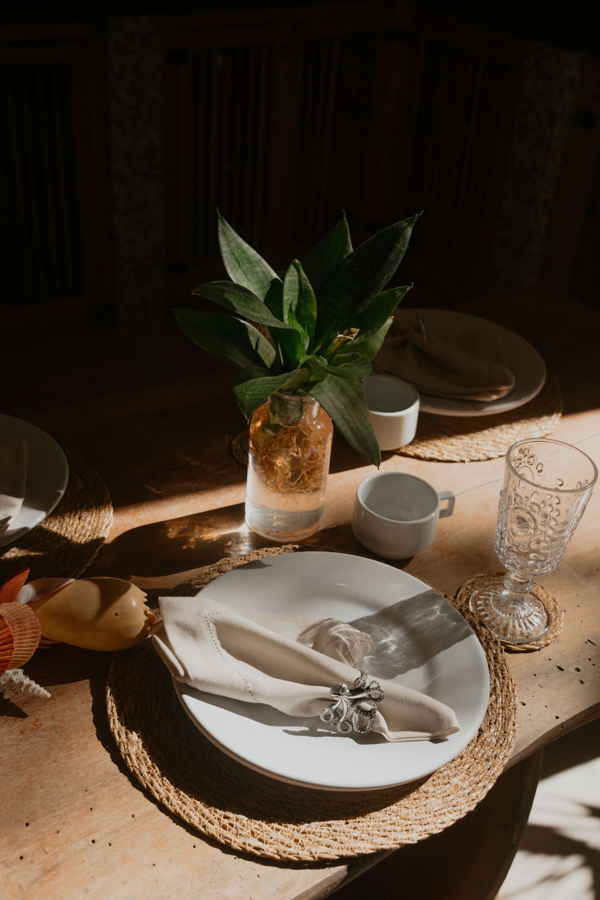 Villa Cacau Floresta