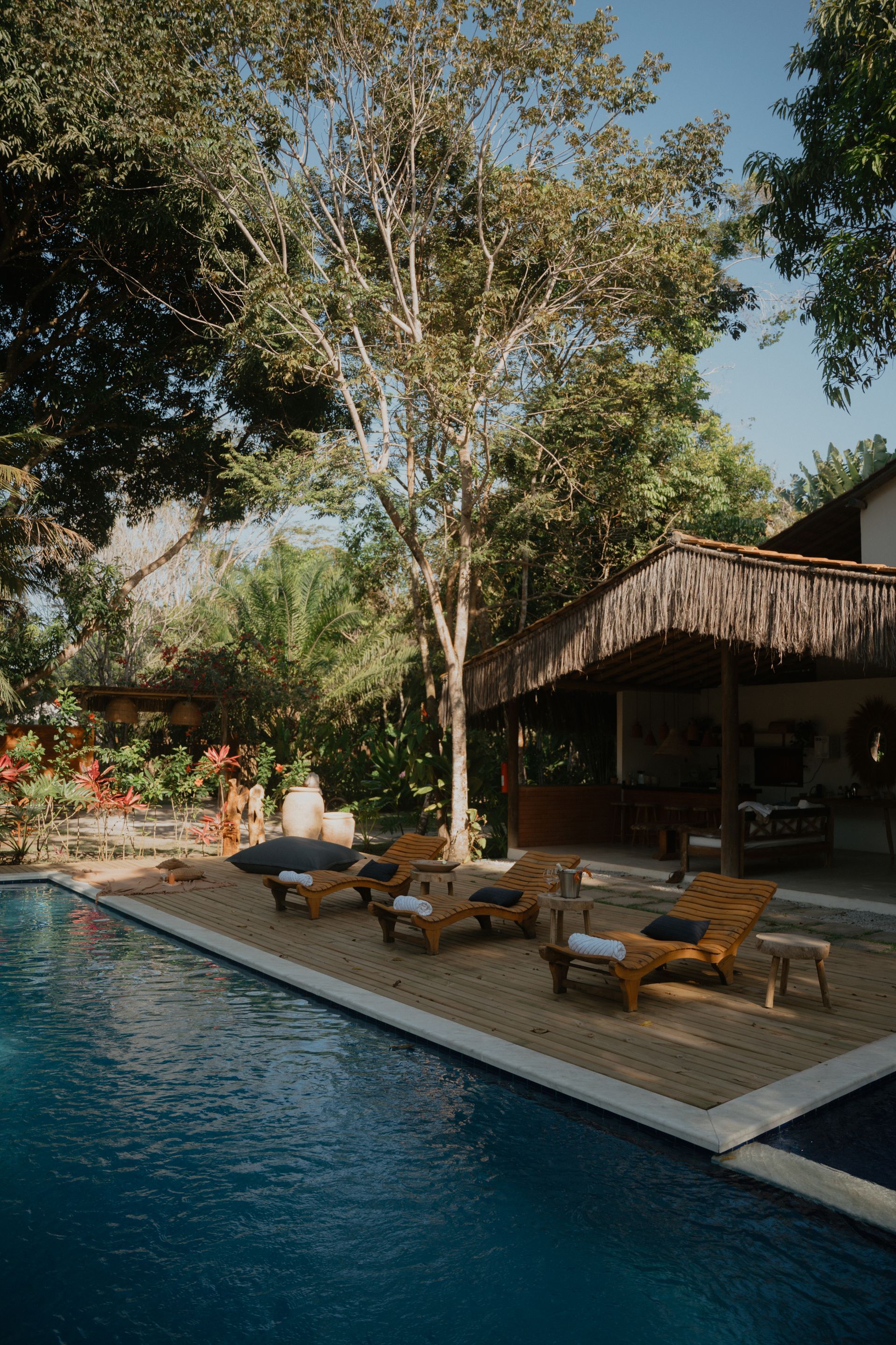 Villa Cacau Floresta