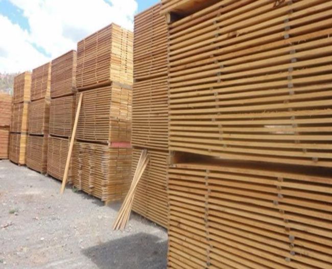 ASERRADEROS SAN PEDRO EL ALTO Y DIMENSIONADOS ORO VERDE