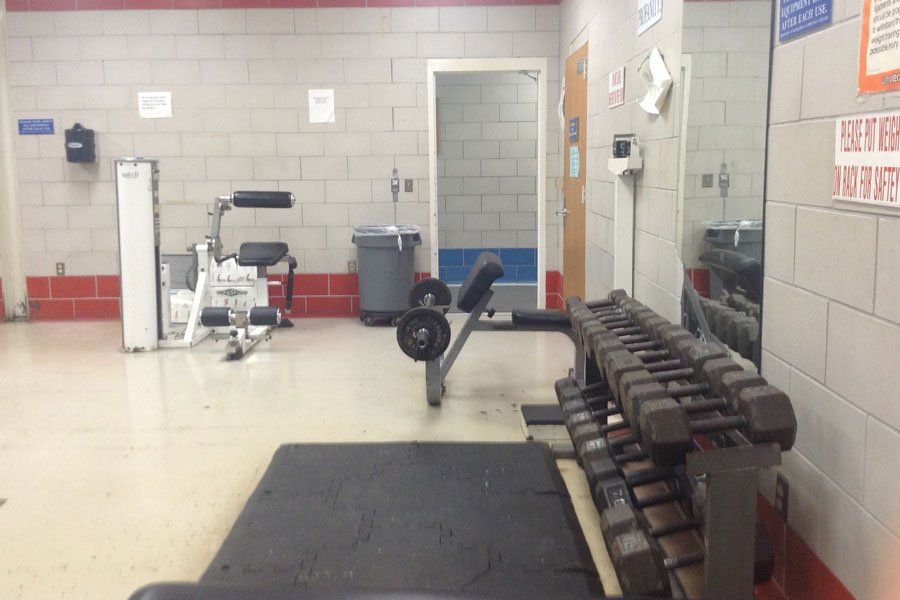 Gym Facility Dumbbells Rack