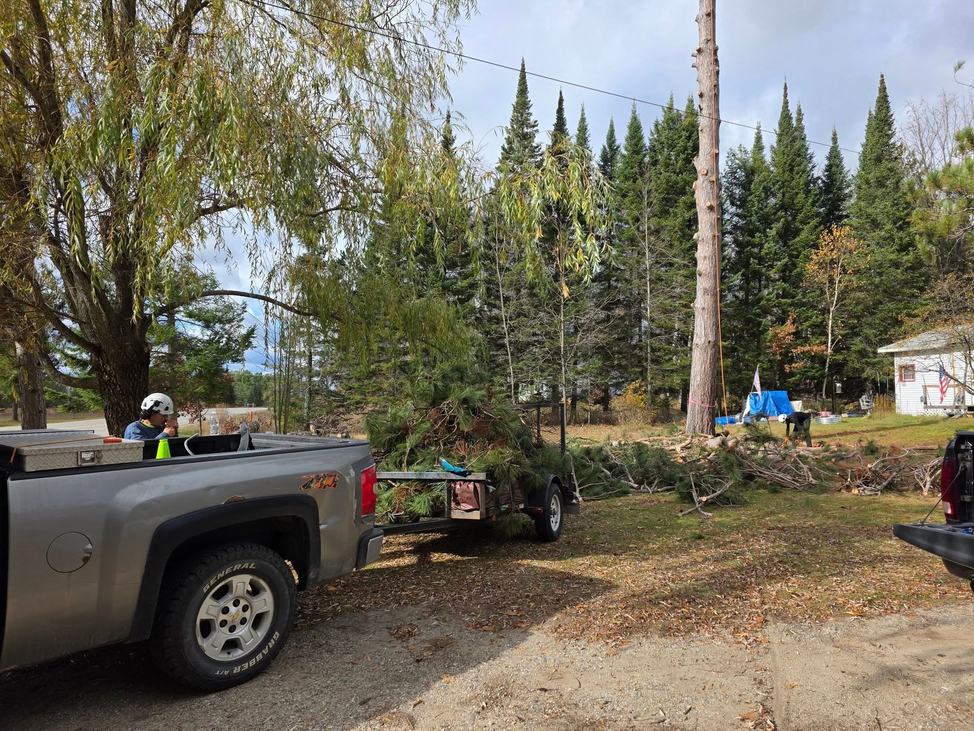 Truck with trailer loaded with tree branches in a wooded area; person in truck.