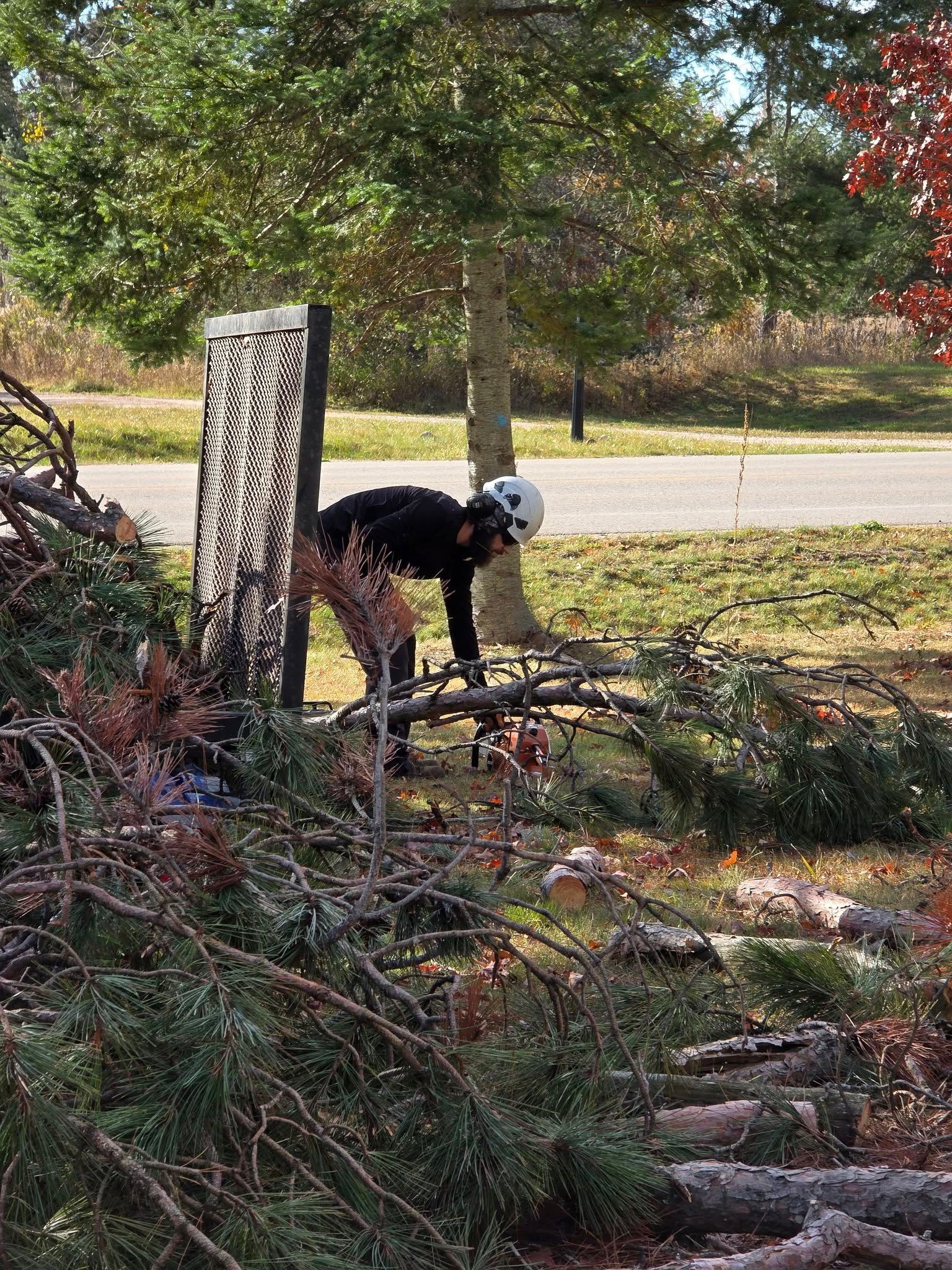 Person wearing a helmet, bending near branches by a dark metal structure, trees and a road in the background.