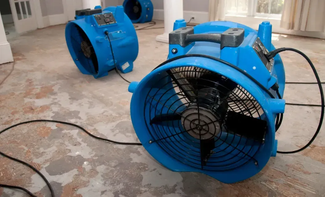 Two blue fans are sitting on the floor of a room.