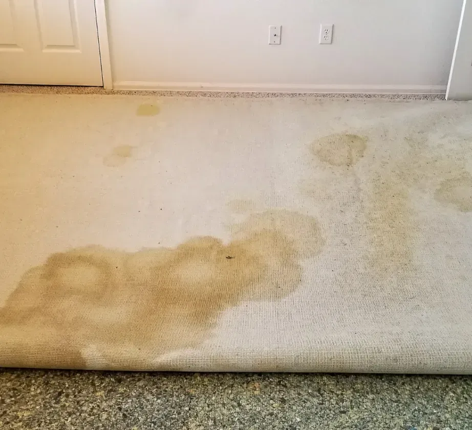 A dirty rug is laying on the floor in a room.