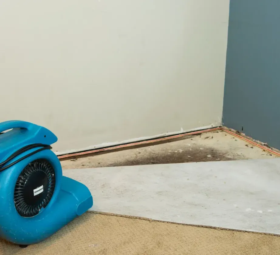 A blue dryer is sitting on a carpet in a room.