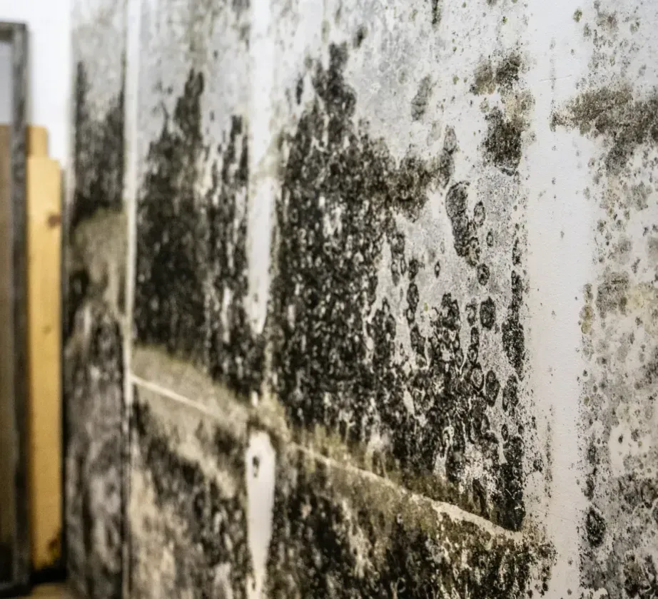 A person is using a sponge to grout a tile wall.