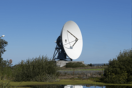 Ghy6 Dish in low elevation