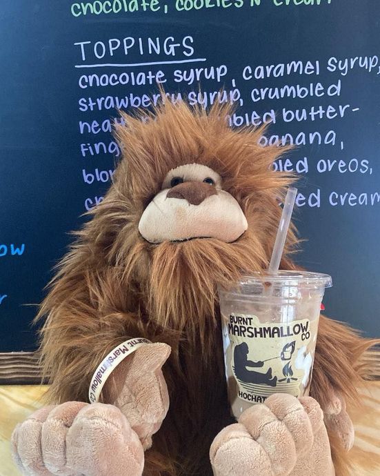 Plush lion beside a marshmallow cup in front of a chalkboard menu listing toppings